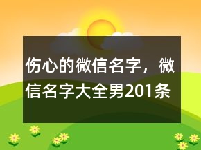 傷心的微信名字，微信名字大全男201條