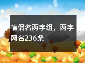 情侶名兩字組，兩字網名236條