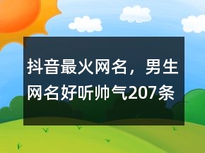 抖音最火網(wǎng)名，男生網(wǎng)名好聽帥氣207條