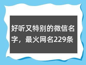 好聽又特別的微信名字，最火網(wǎng)名229條