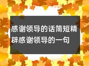 感謝領(lǐng)導(dǎo)的話簡短精辟感謝領(lǐng)導(dǎo)的一句話暖心225條