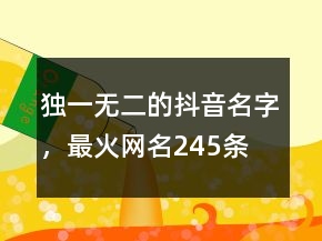 獨(dú)一無二的抖音名字，最火網(wǎng)名245條