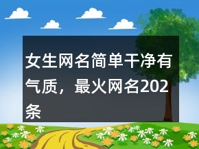 女生網(wǎng)名簡(jiǎn)單干凈有氣質(zhì)，最火網(wǎng)名202條
