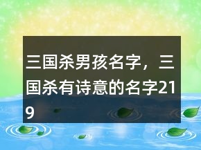 三國(guó)殺男孩名字，三國(guó)殺有詩(shī)意的名字219條