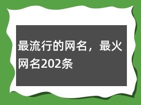 最流行的網(wǎng)名，最火網(wǎng)名202條