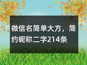 微信名簡(jiǎn)單大方，簡(jiǎn)約昵稱二字214條