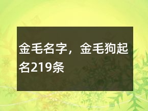 金毛名字，金毛狗起名219條