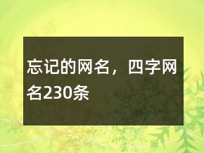 忘記的網(wǎng)名，四字網(wǎng)名230條