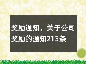 獎勵通知，關于公司獎勵的通知213條