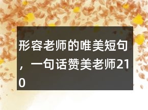 形容老師的唯美短句，一句話贊美老師210條