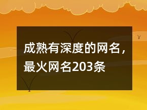 成熟有深度的網(wǎng)名，最火網(wǎng)名203條