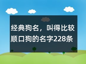 經(jīng)典狗名，叫得比較順口狗的名字228條