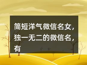 簡短洋氣微信名女，獨一無二的微信名，有內(nèi)涵的微信名212條