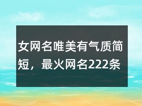 女網(wǎng)名唯美有氣質(zhì)簡短，最火網(wǎng)名222條