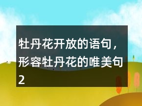 牡丹花開放的語句，形容牡丹花的唯美句245條