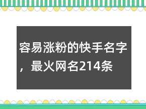 容易漲粉的快手名字，最火網(wǎng)名214條