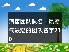 銷(xiāo)售團(tuán)隊(duì)隊(duì)名，最霸氣最潮的團(tuán)隊(duì)名字210條