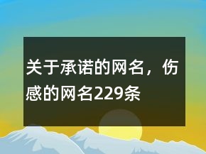 關(guān)于承諾的網(wǎng)名，傷感的網(wǎng)名229條