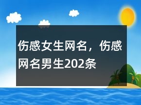 傷感女生網(wǎng)名，傷感網(wǎng)名男生202條
