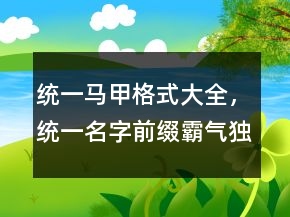 統(tǒng)一馬甲格式大全，統(tǒng)一名字前綴霸氣獨(dú)特224條