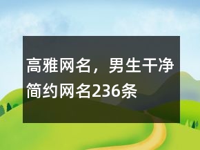 高雅網(wǎng)名，男生干凈簡(jiǎn)約網(wǎng)名236條