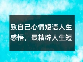 致自己心情短語人生感悟，最精辟人生短句233條