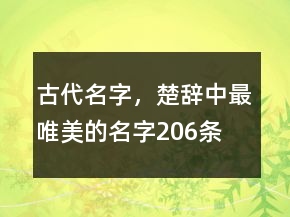 古代名字，楚辭中最唯美的名字206條