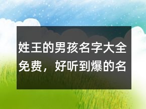 姓王的男孩名字大全免費(fèi)，好聽到爆的名字204條