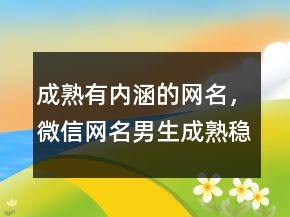 成熟有內(nèi)涵的網(wǎng)名，微信網(wǎng)名男生成熟穩(wěn)重208條