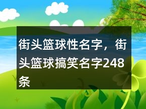 街頭籃球性名字，街頭籃球搞笑名字248條