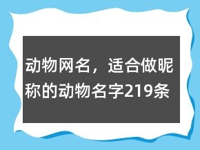 動(dòng)物網(wǎng)名，適合做昵稱的動(dòng)物名字219條