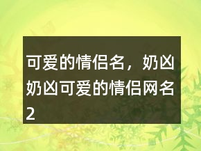 可愛的情侶名，奶兇奶兇可愛的情侶網(wǎng)名222條