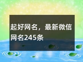 起好網(wǎng)名，最新微信網(wǎng)名245條
