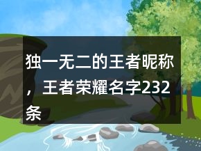 獨一無二的王者昵稱，王者榮耀名字232條