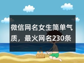 微信網(wǎng)名女生簡單氣質(zhì)，最火網(wǎng)名230條
