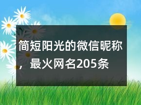 簡短陽光的微信昵稱，最火網(wǎng)名205條