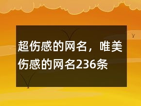 超傷感的網(wǎng)名，唯美傷感的網(wǎng)名236條