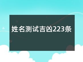 姓名測(cè)試吉兇223條