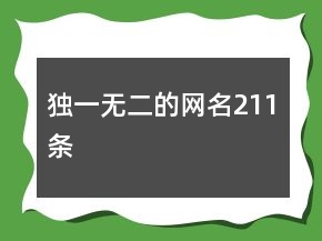獨一無二的網(wǎng)名211條