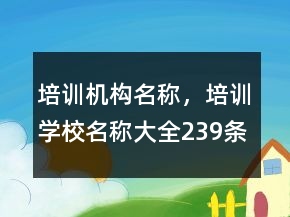 培訓(xùn)機(jī)構(gòu)名稱，培訓(xùn)學(xué)校名稱大全239條
