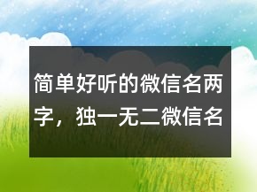簡單好聽的微信名兩字，獨一無二微信名字帶蘭字228條