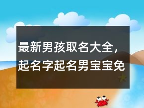 最新男孩取名大全，起名字起名男寶寶免費228條