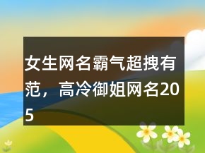 女生網(wǎng)名霸氣超拽有范，高冷御姐網(wǎng)名205條