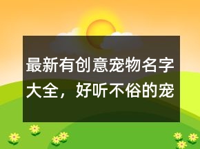 最新有創(chuàng)意寵物名字大全，好聽不俗的寵物店名字227條