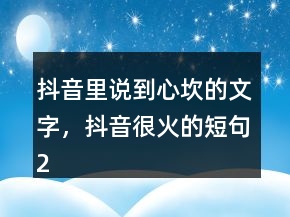 抖音里說到心坎的文字，抖音很火的短句206條