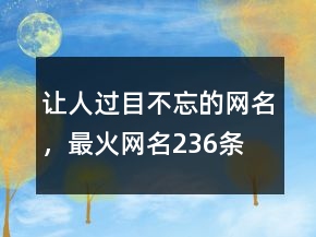 讓人過(guò)目不忘的網(wǎng)名，最火網(wǎng)名236條