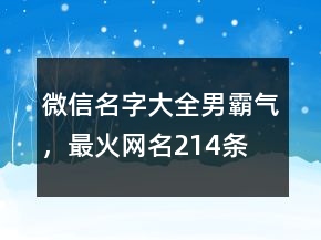 微信名字大全男霸氣，最火網(wǎng)名214條