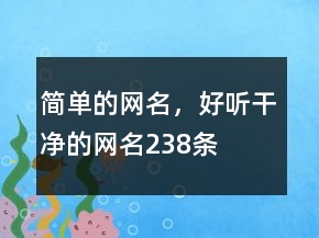 簡(jiǎn)單的網(wǎng)名，好聽(tīng)干凈的網(wǎng)名238條