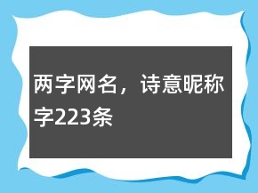 兩字網(wǎng)名，詩意昵稱字223條