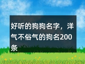 好聽的狗狗名字，洋氣不俗氣的狗名200條